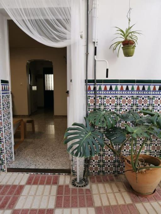 فيلا Casa Margarita ألاورين ذي ر تورّي المظهر الخارجي الصورة